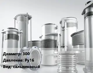 Компенсатор 300 Ру16 сальниковый